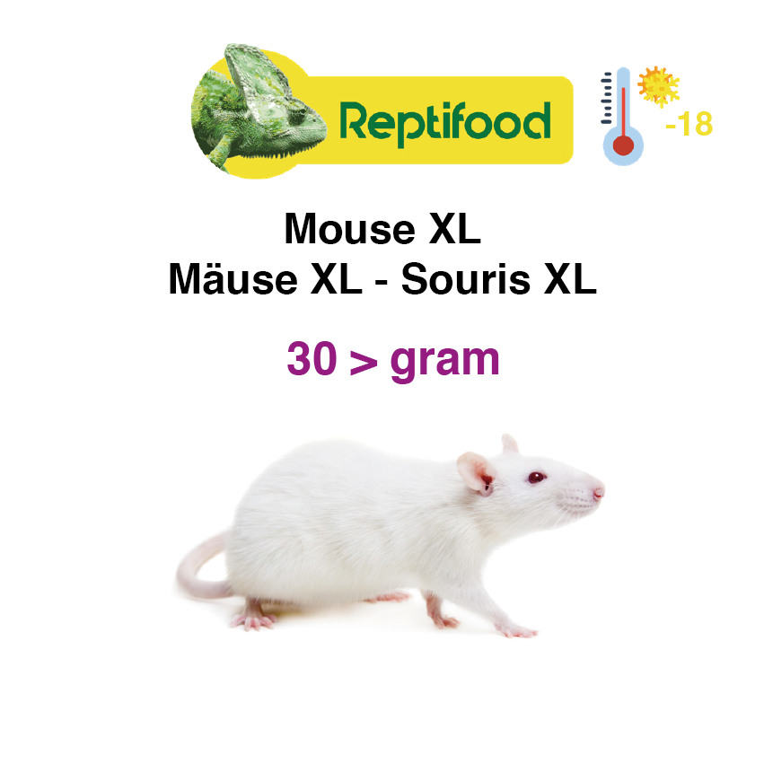 Diepvries muis XL > 30 gram 25 st.