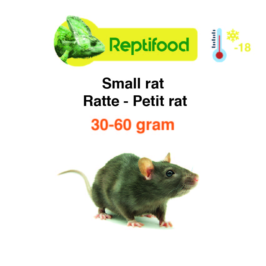 Diepvries Rat Weaner 30-60 gram 5 st.