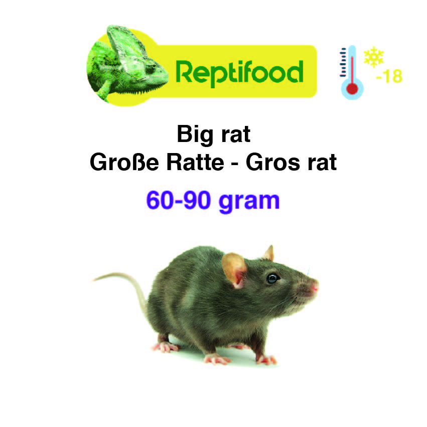 Diepvries Rat Weaner Large 60-90gr. 5 st