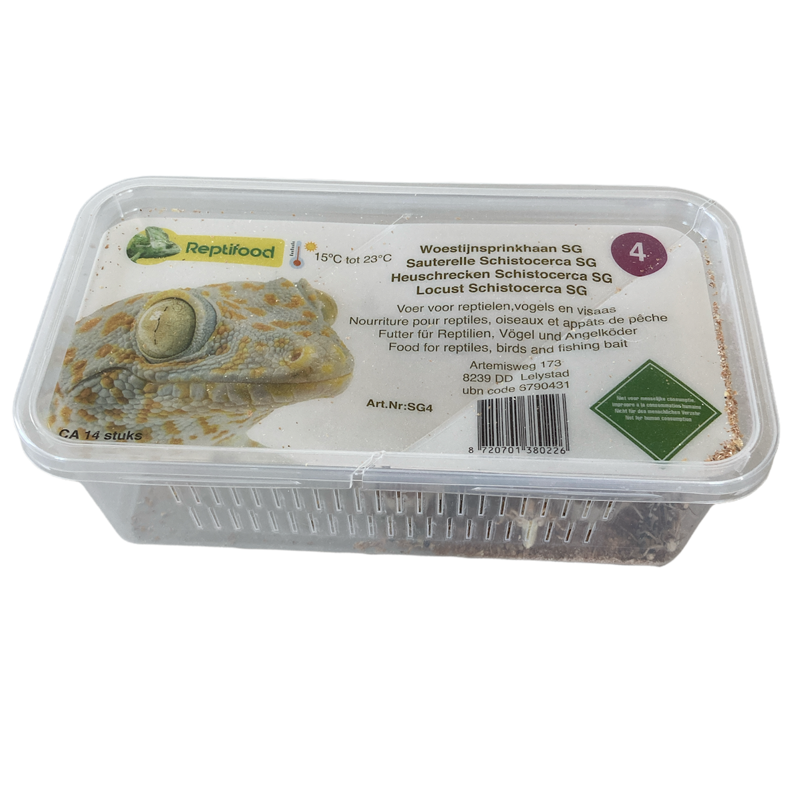 Woestijnsprinkhaan maat 4 in doosje