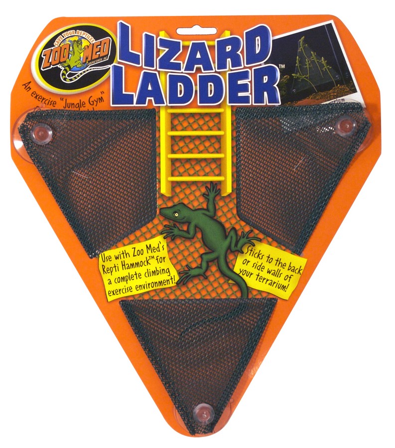 Lizard Ladder