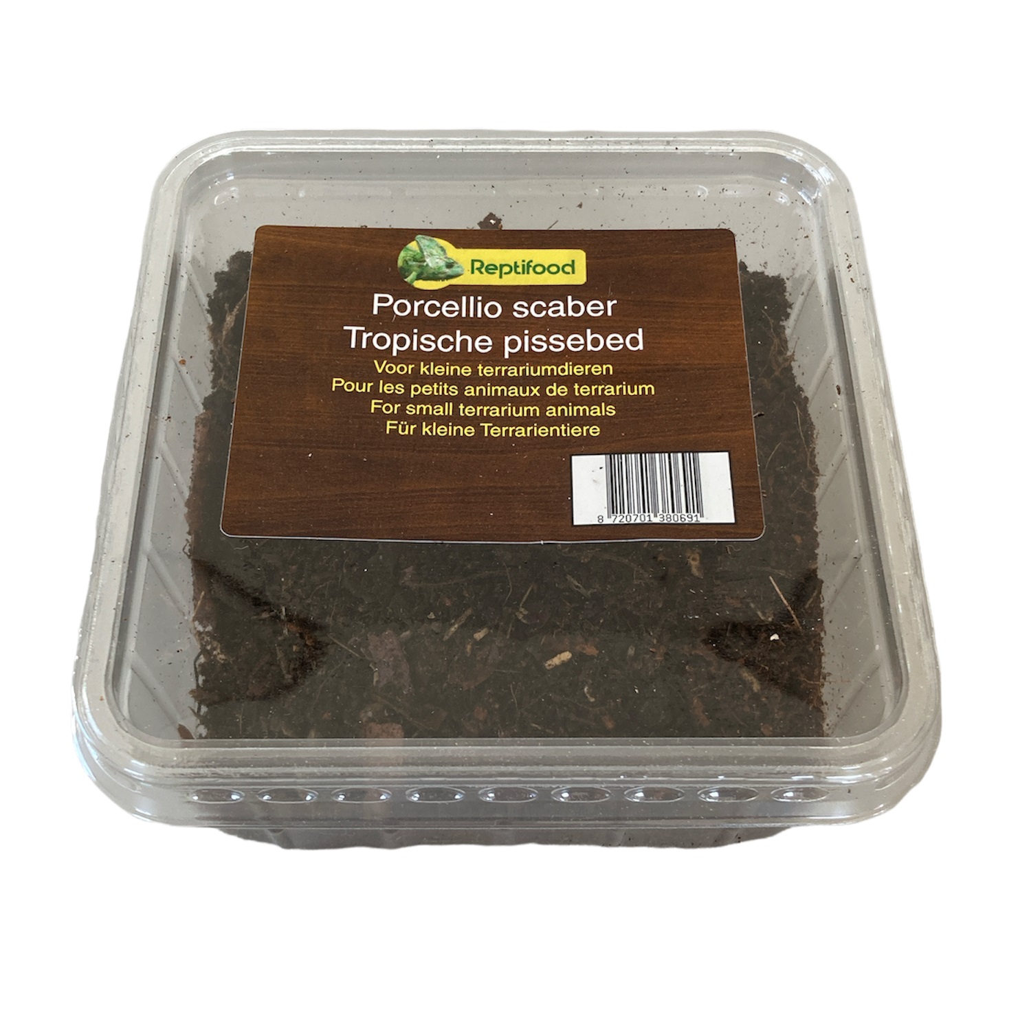 Tropische pissebed in doosje