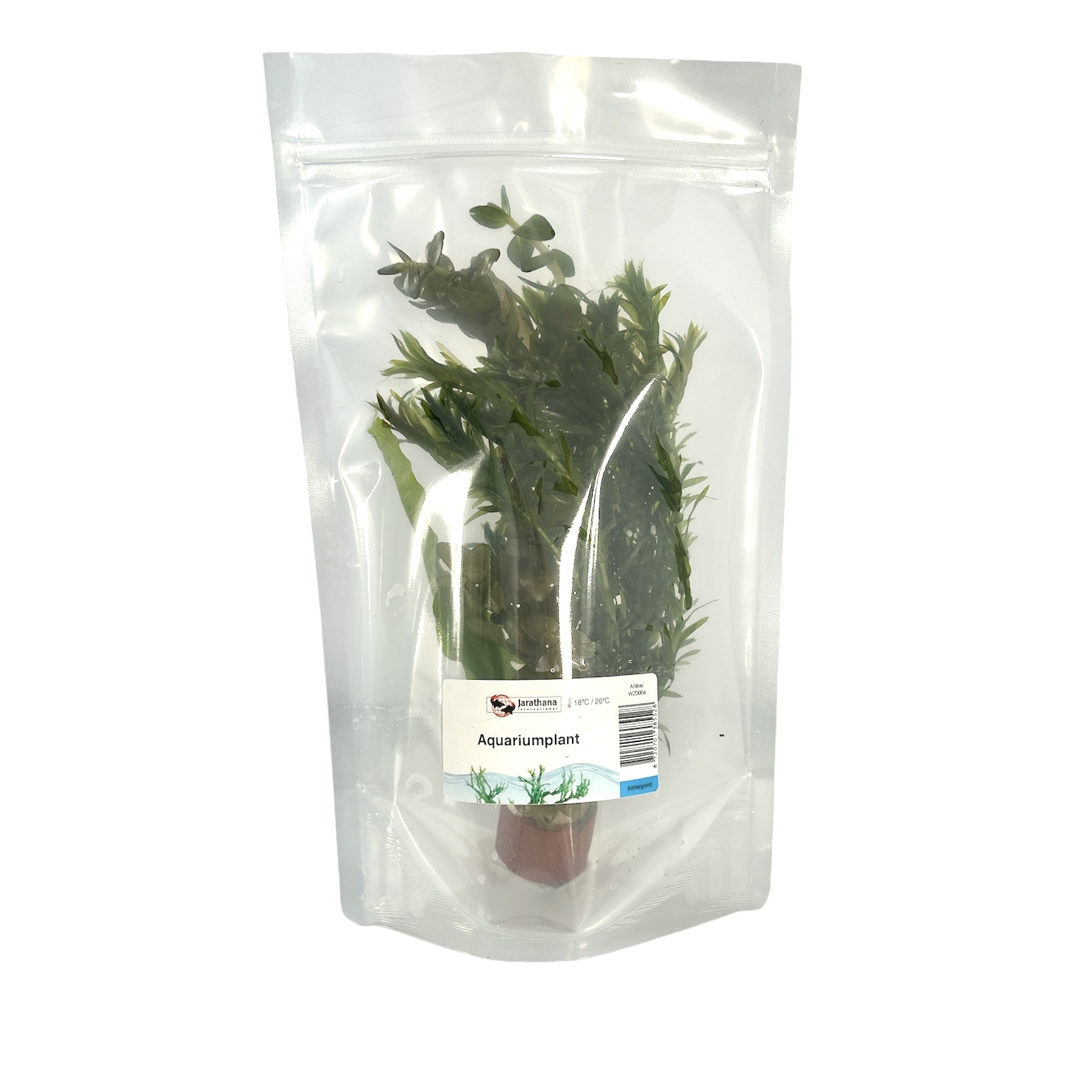 Goudviskombosjes gemengd in stazak