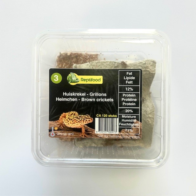 Huiskrekel maat 3 in doosje