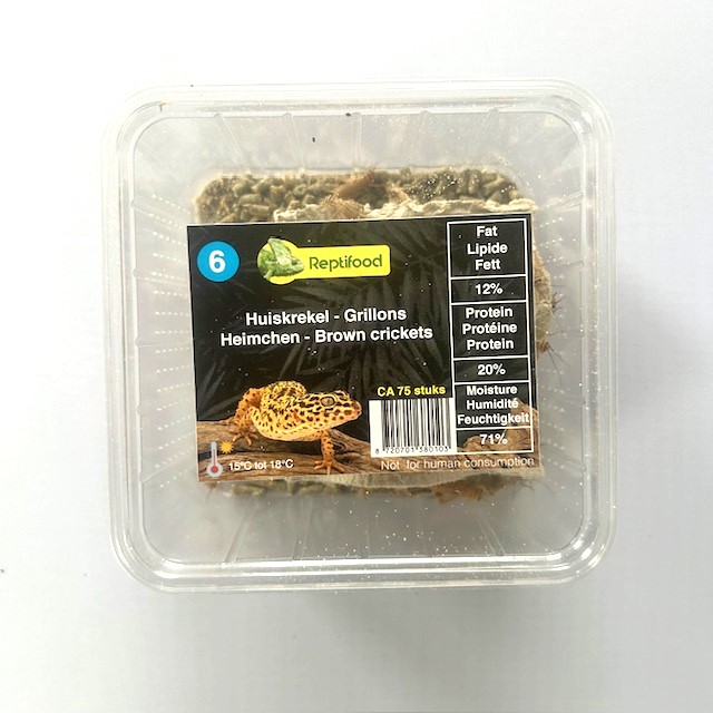 Huiskrekel maat 6 in doosje